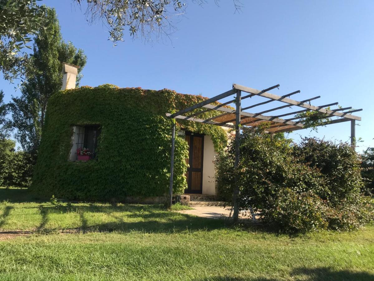 Masseria La Torre Maglie Extérieur photo