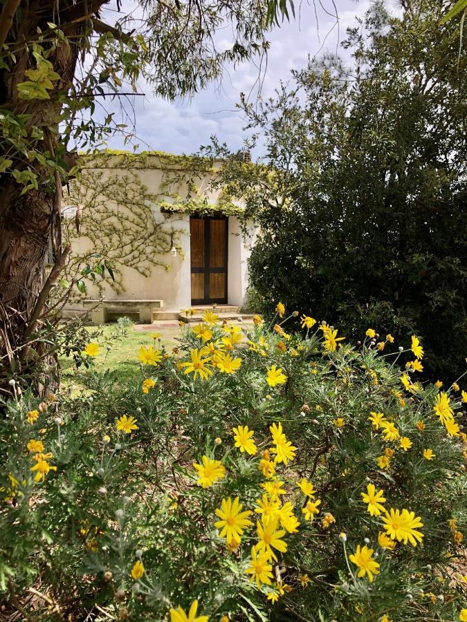 Masseria La Torre Maglie Extérieur photo